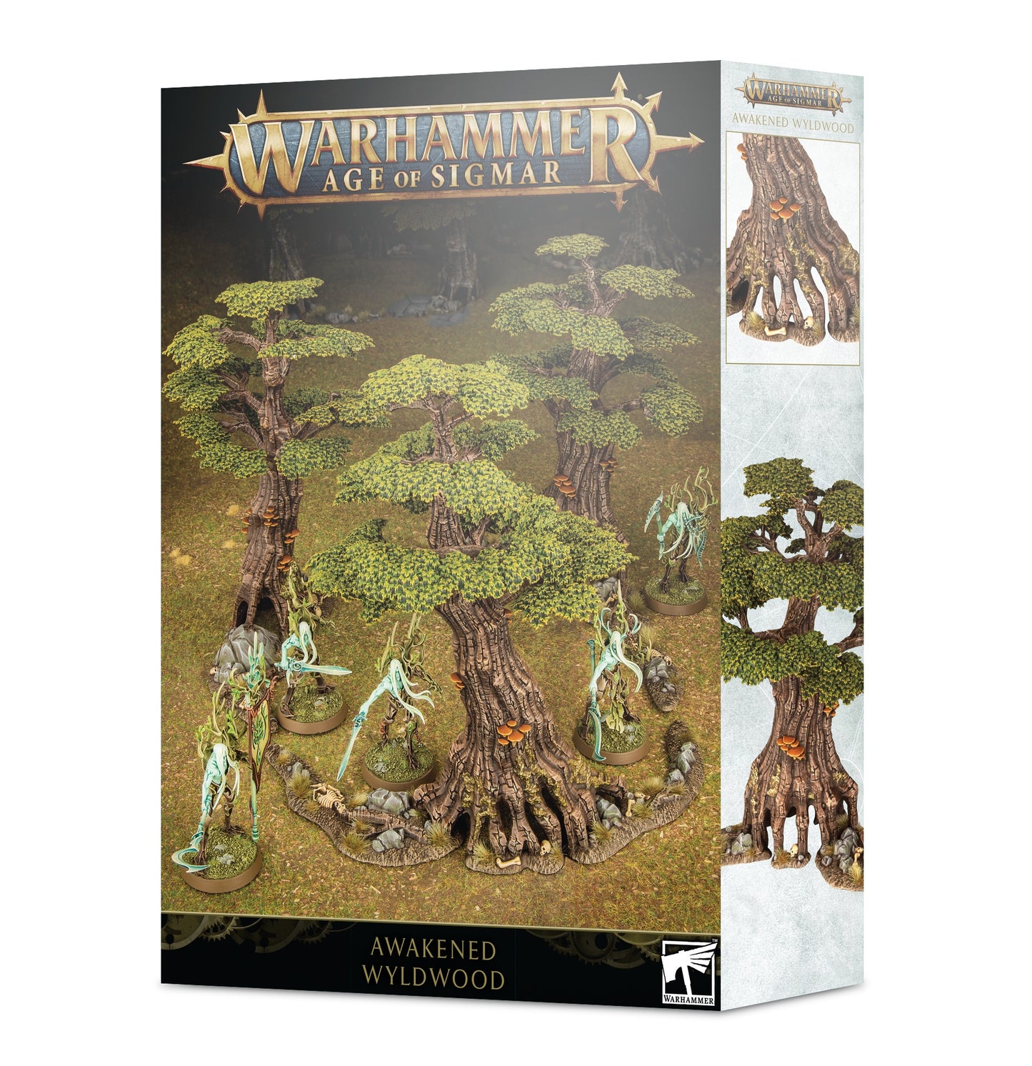 Terrain - Awakened Wylwood